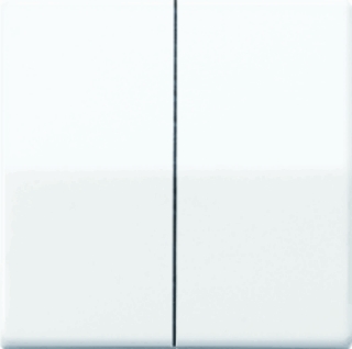 Inzetplaat serie Alpin wit AS591-5WW (Jung)